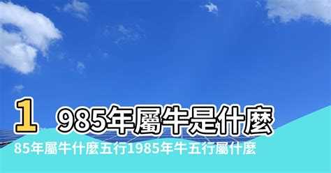 1985屬什麼|【85年屬什麼】85年屬什麼生肖？免驚解惑！揭開你。